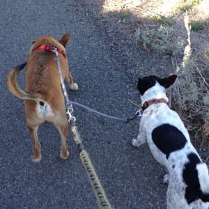 Meet your Posher, Sabrina